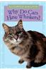Why Do Cats Have Whiskers?
