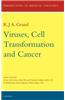 Viruses, Cell Transformation, and Cancer