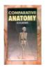 Comparative Anatomy
