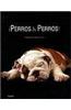 Perros & Perros/ Dogs & Dogs!