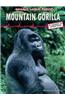 Mountain Gorilla