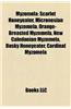 Myzomela: Scarlet Honeyeater, Micronesian Myzomela, Orange-Breasted Myzomela, New Caledonian Myzomela, Dusky Honeyeater, Cardina