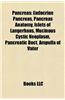 Pancreas: Endocrine Pancreas, Pancreas Anatomy, Islets of Langerhans, Mucinous Cystic Neoplasm, Pancreatic Duct, Ampulla of Vate