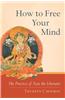 How to Free Your Mind: The Practice of Tara the Liberator