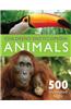 Children's Encyclopedia Animals: Bugs, Sharks, Reptiles, Amphibians, Birds and Mammals. Infor