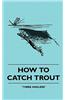 How to Catch Trout