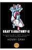 Gray's Anatomy: [Illustrated with 1247 Coloured Well Drawing Engrawings]