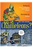 Do You Know Chameleons?