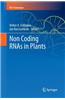 Non Coding RNAs in Plants