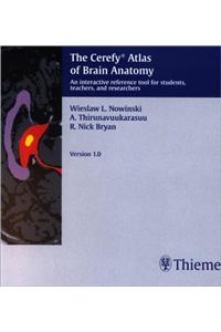 The Cerefy Atlas of Brain Anatomy