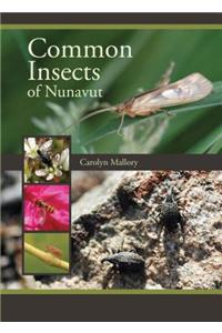 Common Insects of Nunavut