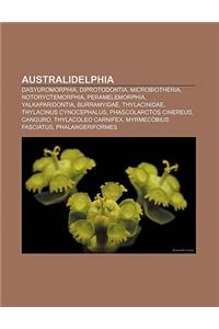 Australidelphia: Dasyuromorphia, Diprotodontia, Microbiotheria, Notoryctemorphia, Peramelemorphia, Yalkaparidontia, Burramyidae, Thylac