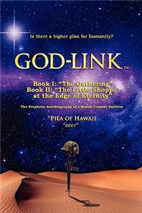 God-Link Book I: The Gathering the Prophetic Autobiography of a Marine Combat Survivor.