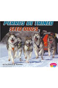 Perros de trineo/Sled Dogs