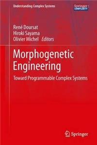 Morphogenetic Engineering: Toward Programmable Complex Systems