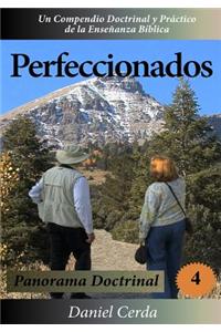 Perfeccionados: Panorama Doctrinal