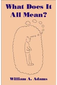 What Does It All Mean?: A Humanistic Account of Human Experience