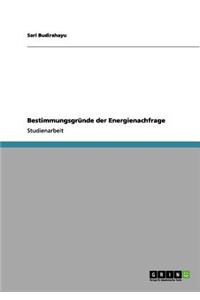 Bestimmungsgrunde Der Energienachfrage
