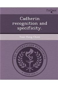 Cadherin Recognition and Specificity.