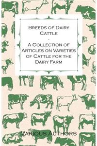 Breeds of Dairy Cattle - A Collection of Articles on Varieties of Cattle for the Dairy Farm