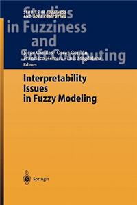 Interpretability Issues in Fuzzy Modeling