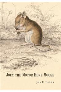 Joey the Motor Home Mouse