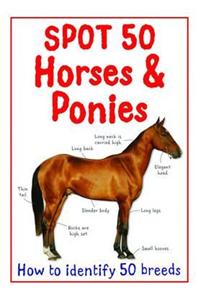 Spot 50 Horses and Ponies