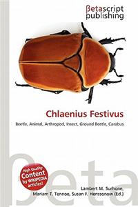 Chlaenius Festivus