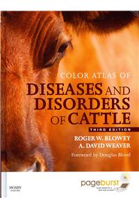 Color Atlas of Diseases and Disorders of Cattle