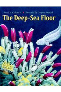 The Deep-Sea Floor