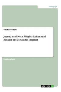 Jugend Und Netz. Moglichkeiten Und Risiken Des Mediums Internet