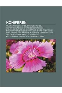 Koniferen: Araukariengewachse, Eibengewachse, Kieferngewachse, Steineibengewachse, Zypressengewachse, Europaische Eibe, Pazifisch