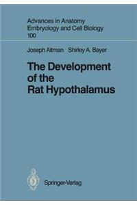 Development of the Rat Hypothalamus