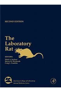 The Laboratory Rat