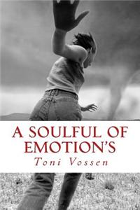 A Soulful of Emotion's: A Poetic Storm