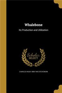 Whalebone