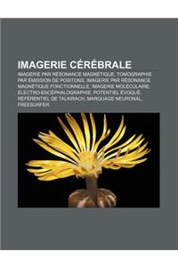 Imagerie Cerebrale: Imagerie Par Resonance Magnetique, Tomographie Par Emission de Positons, Imagerie Par Resonance Magnetique Fonctionnel