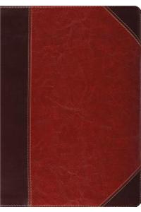 Study Bible-ESV-Portfolio Design