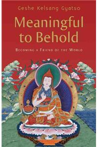 Meaningful to Behold