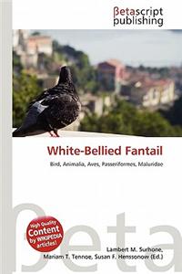 White-Bellied Fantail