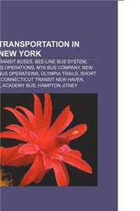 Surface Transportation in Greater New York: New York City Transit Buses, Bee-Line Bus System, Mta Regional Bus Operations, Mta Bus Company