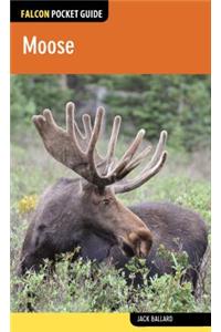 Moose