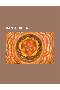 Xanthoidea: Xanthidae, Rhithropanopeus Harrisii, Strawberry Crab, Panopeus Herbstii, Etisus, Lybia, Etisus Dentatus, Actaeopsis