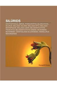 Silurids: Kryptopterus, Ompok, Pterocryptis, Silurichthys, Silurus, Wallago, Silurid, Wallago Attu, Wallago Micropogon, Wallago