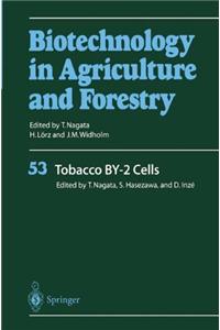 Tobacco BY-2 Cells