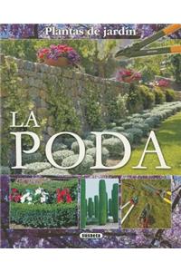 La Poda = Pruning