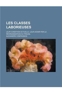 Les Classes Laborieuses; Leur Condition Actuelle, Leur Avenir Par La Reorganisation Du Travail