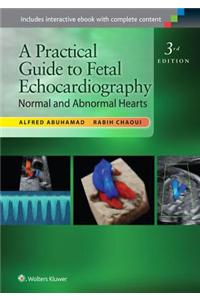 A Practical Guide to Fetal Echocardiography: Normal and Abnormal Hearts