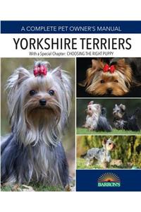 Yorkshire Terriers