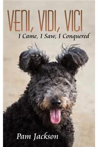 Veni, Vidi, Vici: I Came, I Saw, I Conquered